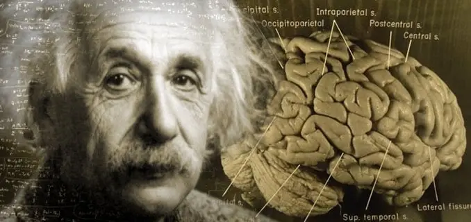 Neuro Energizer Science